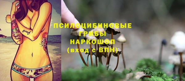 СК Богородицк