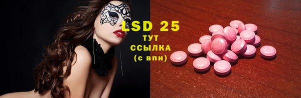 стаф Богданович