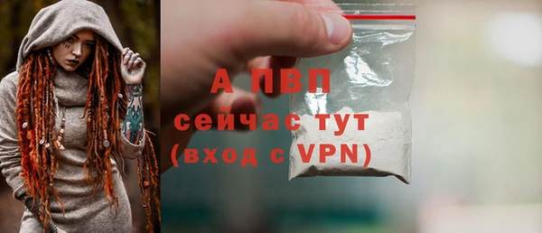 стаф Богданович