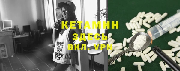 стаф Богданович