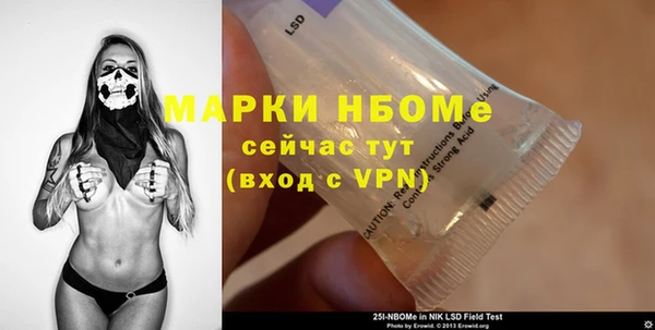 стаф Богданович