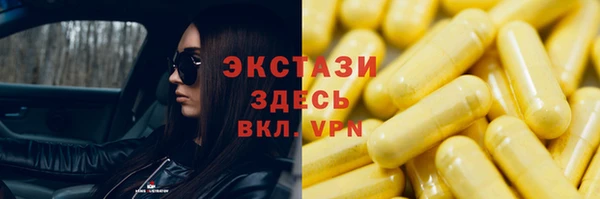 стаф Богданович