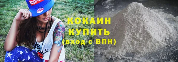 стаф Богданович