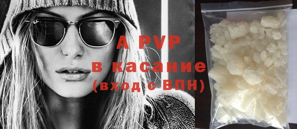 стаф Богданович