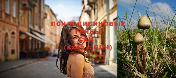 прущая мука Богородск