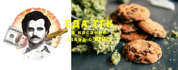 стаф Богданович