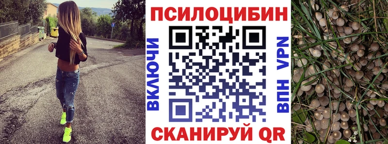 купить наркотик  Нижний Тагил  Псилоцибиновые грибы Magic Shrooms 